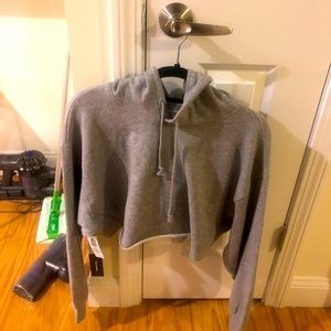 NWT Aritzia the Constant Flash Hoodie